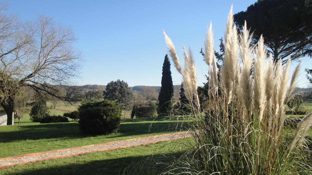 Bed and Breakfast Domaine De Poudos Auterive  Exterior foto