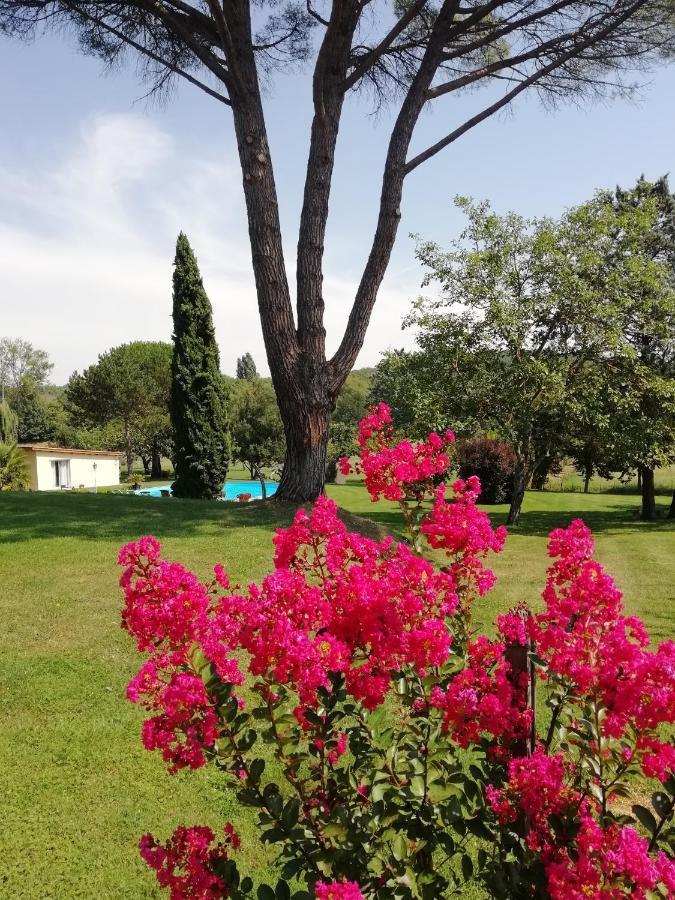 Bed and Breakfast Domaine De Poudos Auterive  Exterior foto